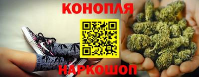 сатива Гусь-Хрустальный