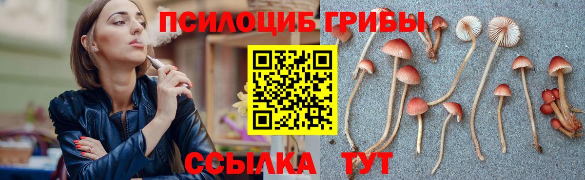 Галлюциногенные грибы Magic Shrooms  Вход с VPN  Псилоцибиновые грибы Psilocybine cubensis  Нальчик 