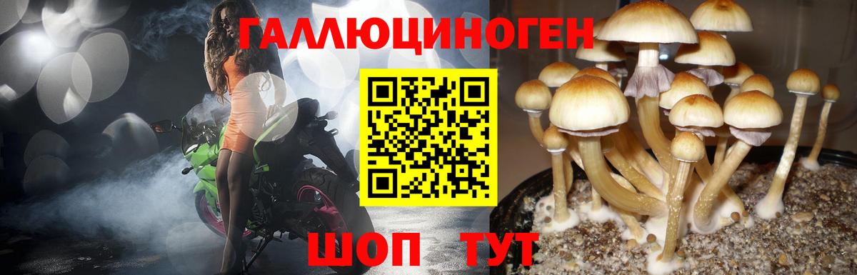 Галлюциногенные грибы GOLDEN TEACHER Нальчик