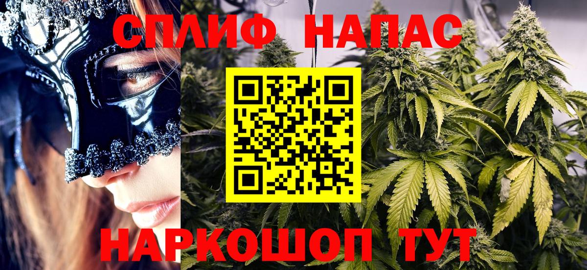Нальчик  Бошки Шишки тримм  Конопля ГИДРОПОН  Вход с VPN  Бошки марихуана конопля 